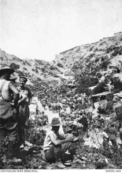 Rest Gully 2 - P00591.004.JPG